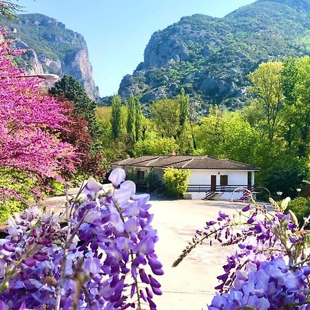 Albergo La Ginestra Acqualagna Esterno foto